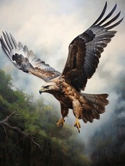 Majestic Wildlife Portraits: Scenic Prints - Hawk in Flight
