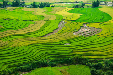 Rice ladder fields in Mu Cang Chai, Yen Bai Province, Vietnam. It is located in northern Vietnam and famous for its natural beauty. This location is linked to several other natural wonders,