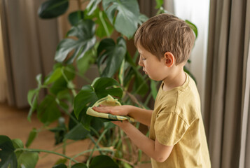 A little boy helps with cleaning around the house and taking care of the plants. Spring cleaning concept