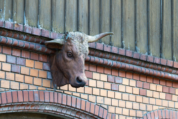 Historische Rinderkopf Skulptur an Kuhstall Fassade