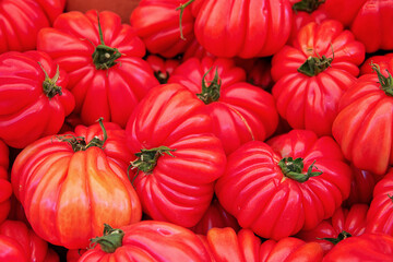 Close up of big red tomatoes