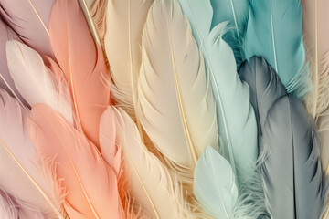 Beautiful fluffy feathers as background, closeup. Color toned. Color feathers on tulle background in pastel tones. Many fluffy feathers as background, closeup. Color toned