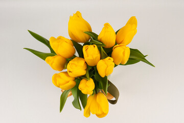 yellow tulips in vase