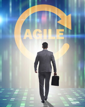 Concept of agile software development