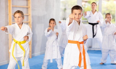 Fototapeta na wymiar Kids during karate training. Martial arts. Sport, active lifestyle concept