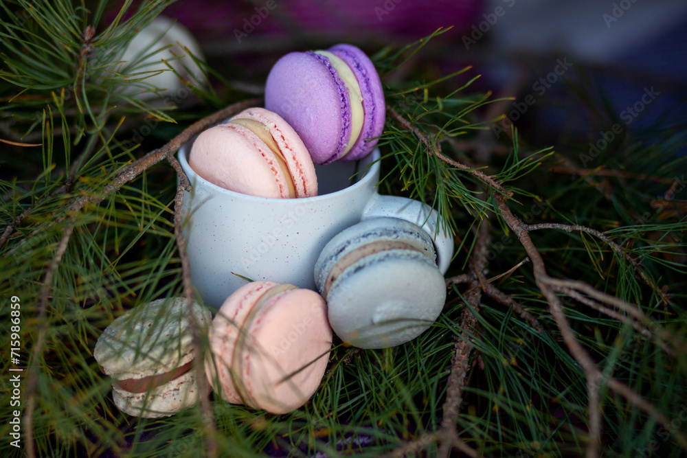 Canvas Prints Pink, blue and purple macaroons in a ceramic cup on pine branches