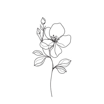 Elegant line drawing of a spring cherry blossom branch. Illustration for invites and cards