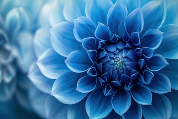 Close Up of Blue Flower With Blurry Background