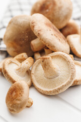 The fresh shiitake mshrooms on white table.