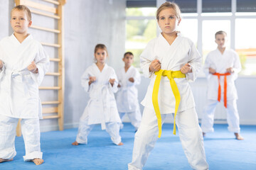 Fototapeta na wymiar Children athletes starting position and studying and repeating sequence of punches and painful techniques in karate kata technique. Oriental martial arts, training and obtaining black belt