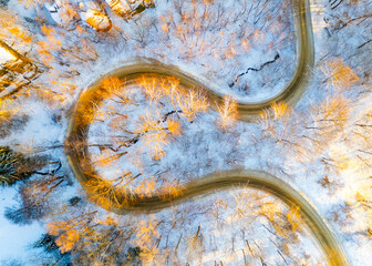 Winding asphalt road in sunny winter morning. Cold and freezy forested countryside.. Aerial view from drone.