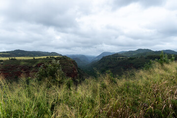 waimea canyon in kauai hawaii 