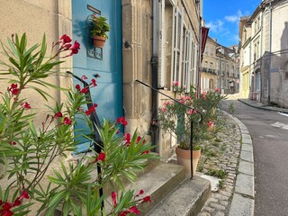 Fototapeta na wymiar Entrance house with blooming oleander and blue door. Autun, Burgundy, France. Autun is Gallo-Roman and medieval city with its 2000 years of history