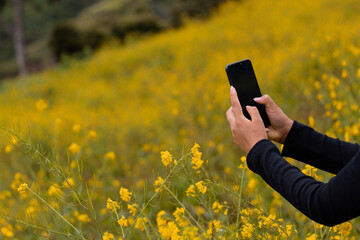 Contrastes florales entre la serenidad de las flores amarillas y la modernidad de un turista alegre...