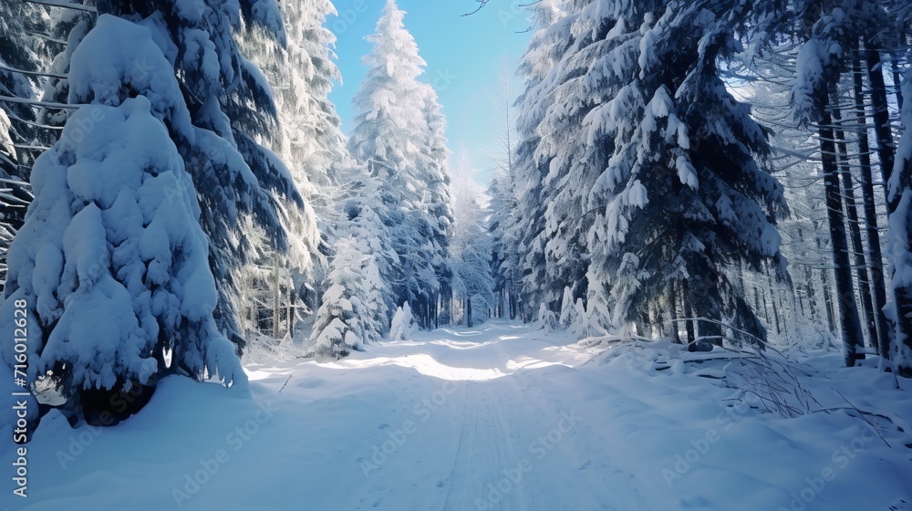 Poster snowy path in a forest generative ai
