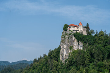 Fototapeta na wymiar Castle Bled on top of a rock surrounded by forest with a clear blue background