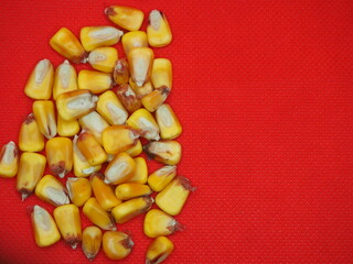 bright yellow corn seeds on a red background