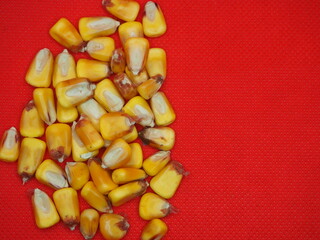 bright yellow corn seeds on a red background