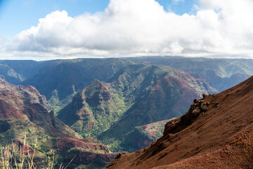 Fototapeta na wymiar Waimea canyon in kauai, hawaii 