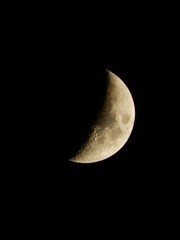moon in the night