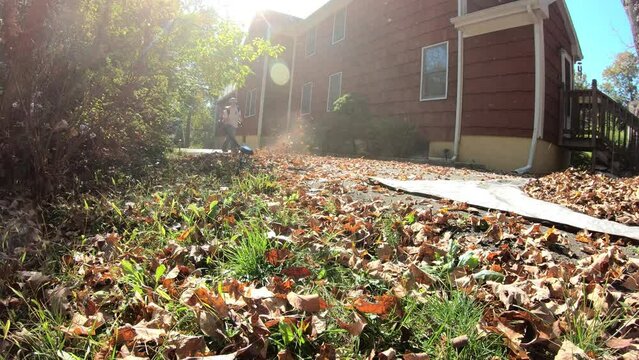 time lapse woman blowing and raking the leaves in the driveway in the fall