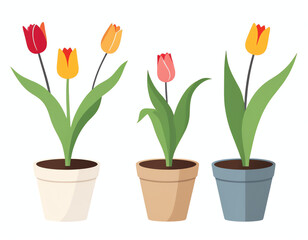  Illustration of tulips for decoration,greeting cards, posters, or social media