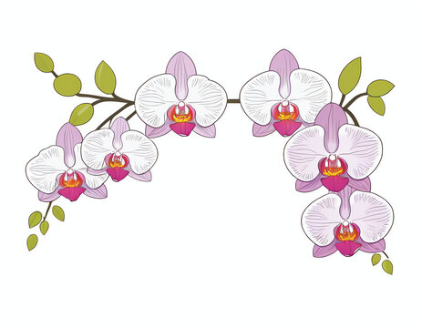 garland of orchids for decoration, greeting cards, posters, or social media