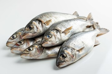 A Pile of Fresh Silver Barb Fish on an Isolated White Background