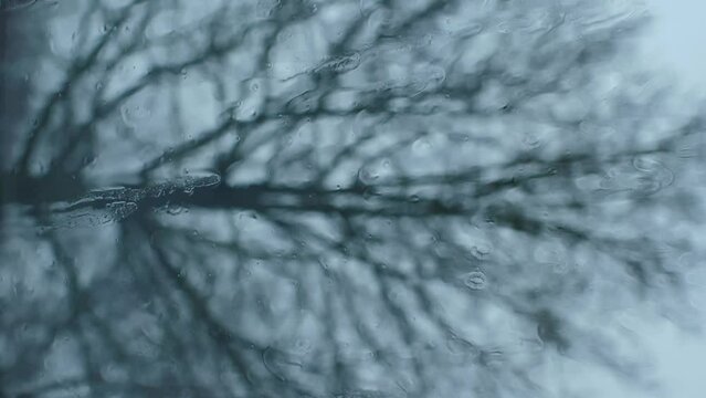 Vertical video of window rain drops on blurred tree background