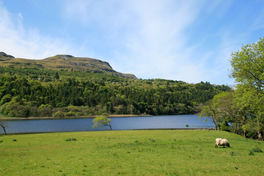 At Glencar Lough