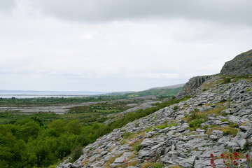 The Burren at Aillwee Cave 