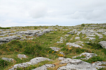 The Burren