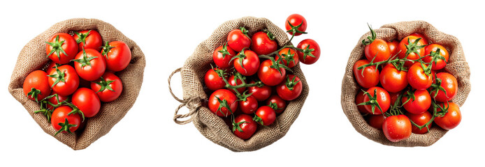 Top view of fresh red tomatoes in harvesting burlap bags over isolated transparent background