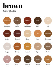 Palette of Brown Shades with Corresponding Names, Collection of Browns Color Swatches. Modern Minimal Design Template

