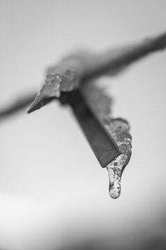 Car&aacute;mbano Hielo frio gota de agua helada pirul&iacute;s hielo en pinzas de la ropa