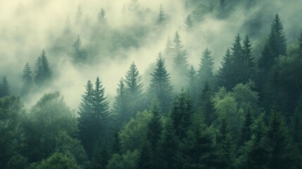 Misty foggy mountain landscape with fir forest and copyspace in vintage retro hipster style - obrazy, fototapety, plakaty