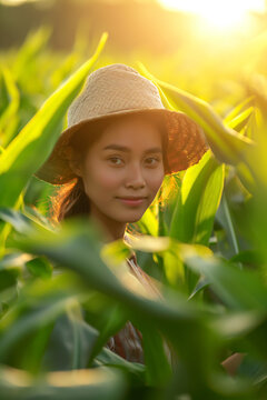 Smiling female corn gardener in golden light, depicting organic farming, agri-business innovation, and rural enterprise.