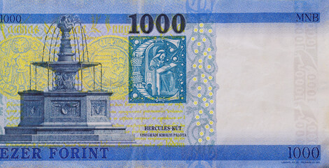 Hungarian 1000 forint banknotes national currency banknote back view