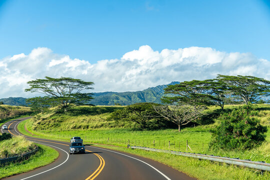 a road in hawaii 