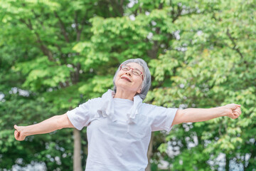 公園で運動・体操・ストレッチする高齢者女性
