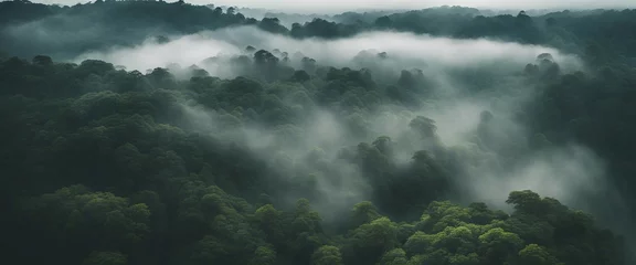 Fototapeten Misty Rainforest Canopy, an aerial shot of a lush rainforest canopy shrouded in mist © vanAmsen
