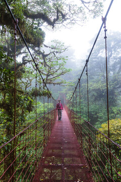 Man on a suspension bridge, Monteverde Cloud Forest, Costa Rica