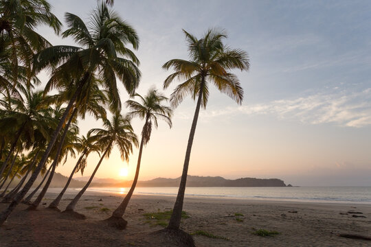 Sunrise over exotic sandy beach with palm trees, Playa Carrillo, Costa Rica
