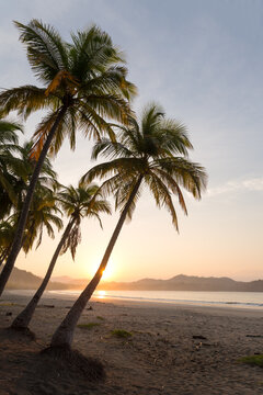 Sunrise over exotic sandy beach with palm trees, Playa Carrillo, Costa Rica