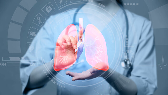 Female doctor using virtual screen with picture of lungs