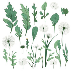 Set of Dandelion Greens hand drawing isolated vector illustration