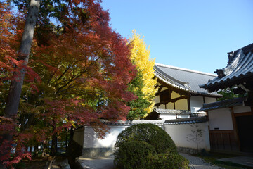 秋の南禅寺　南禅僧堂　京都市左京区