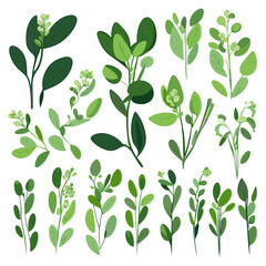 Set of Fava Greens hand drawing isolated vector illustration, spring collections