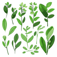 Set of Fava Greens hand drawing isolated vector illustration, spring collections