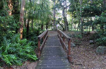 Fototapeta premium Wooden bridge in a park with trees and plants